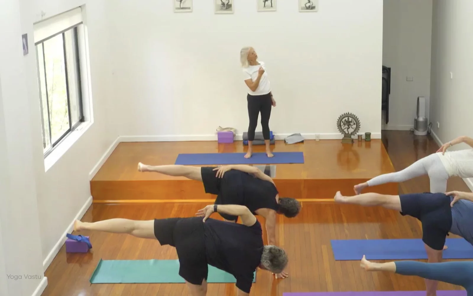 Online Iyengar yoga videos | Class 4: Back to Basics in Standing Poses