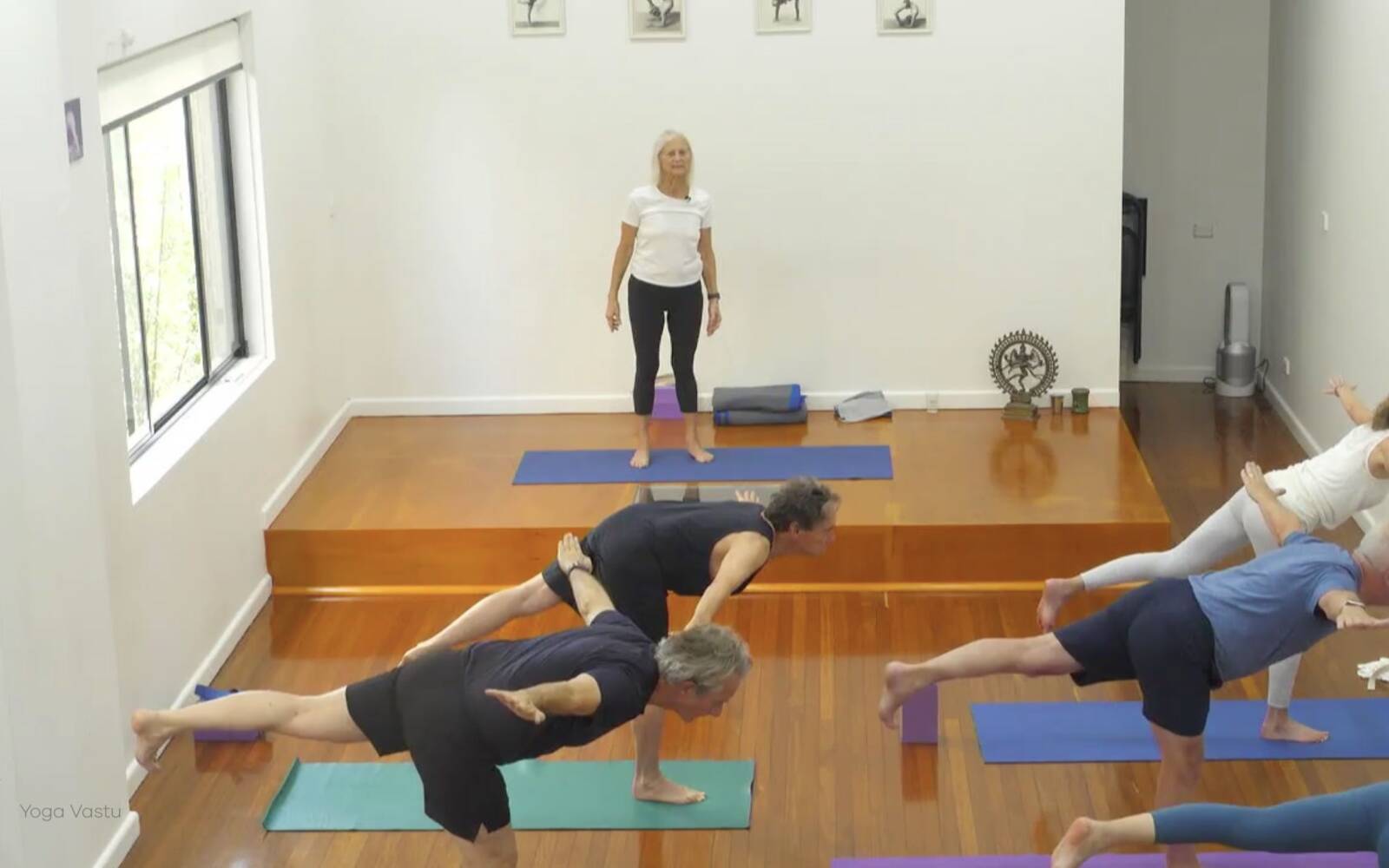 Online Iyengar yoga videos | Class 4: Back to Basics in Standing Poses