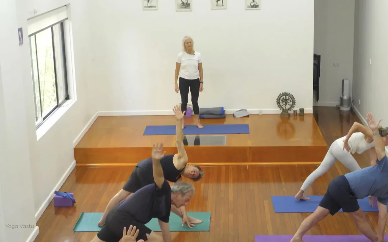 Online Iyengar yoga videos | Class 4: Back to Basics in Standing Poses