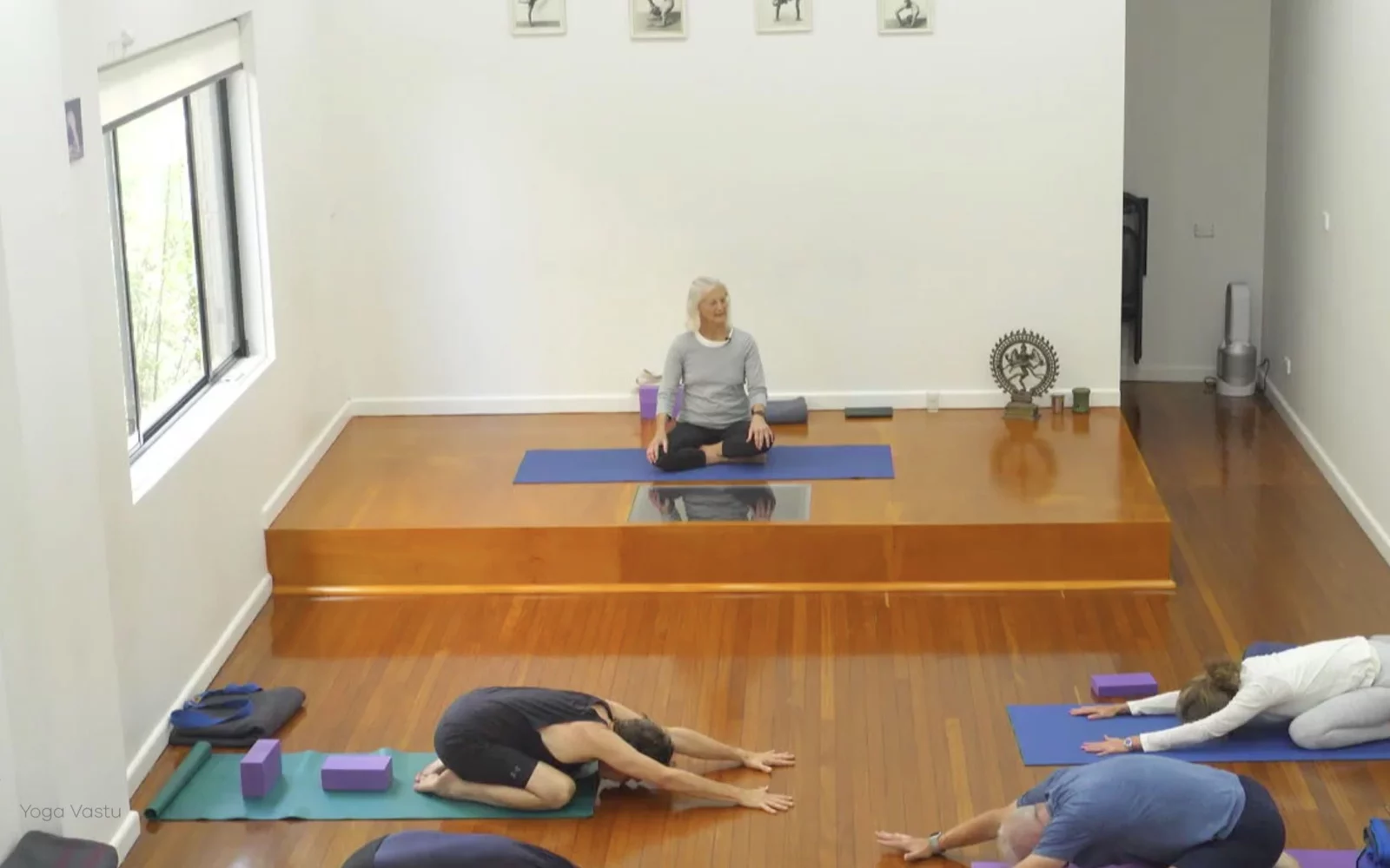 Online Iyengar yoga videos | Class 4: Back to Basics in Standing Poses