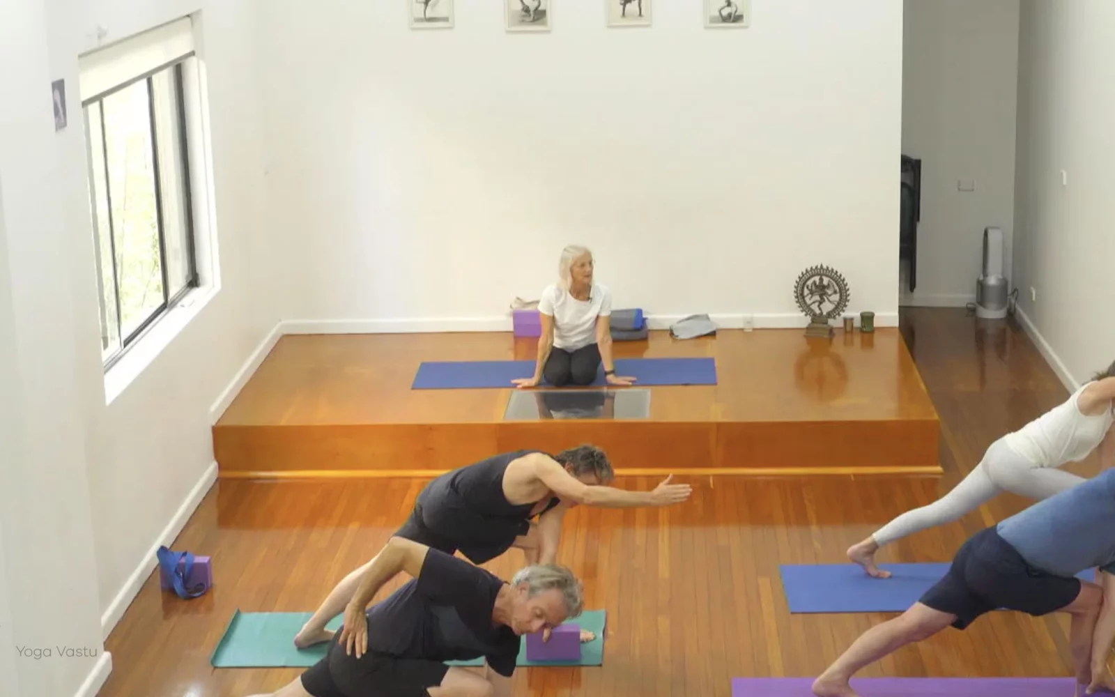 Online Iyengar yoga videos | Class 4: Back to Basics in Standing Poses