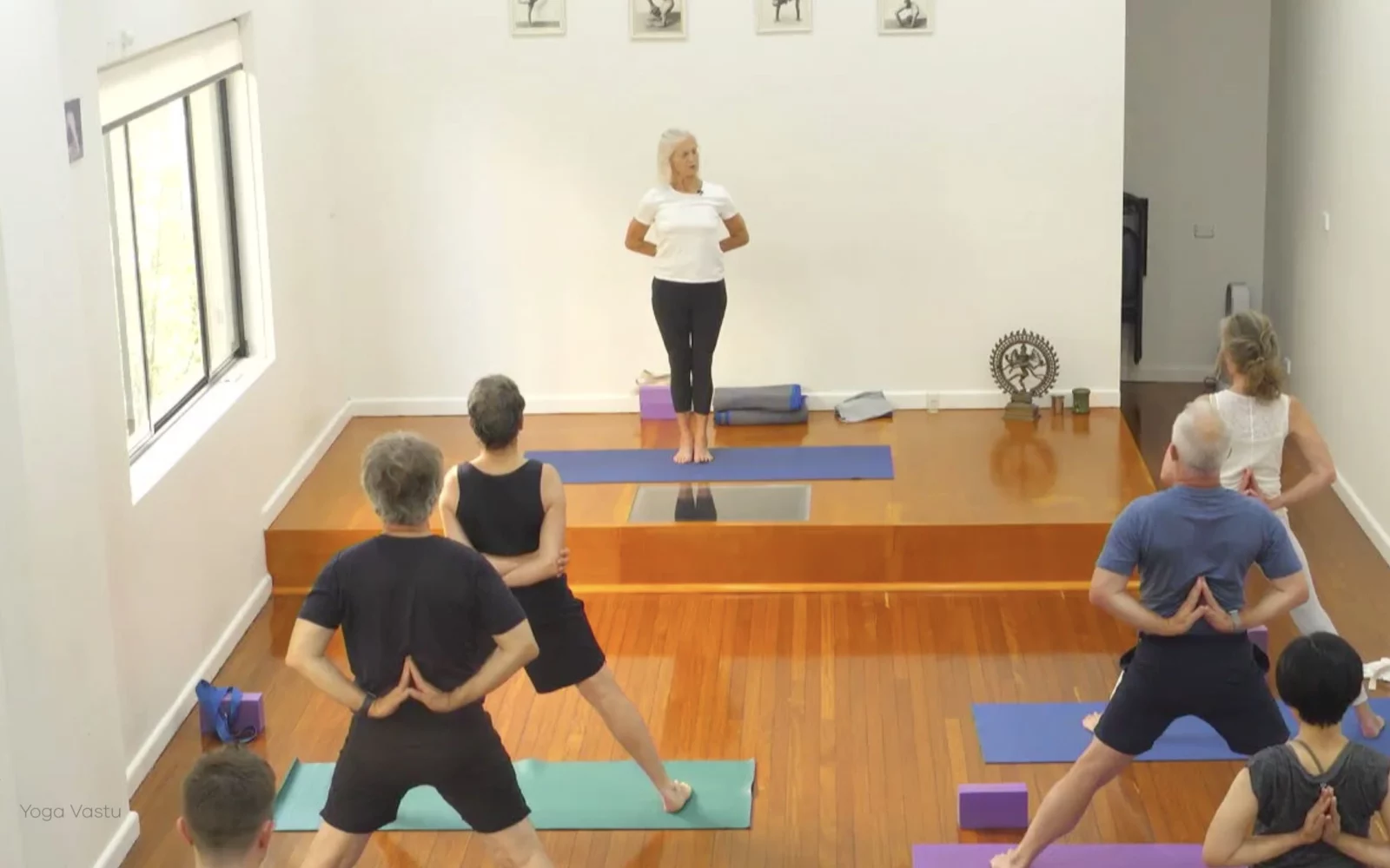 Online Iyengar yoga videos | Class 4: Back to Basics in Standing Poses