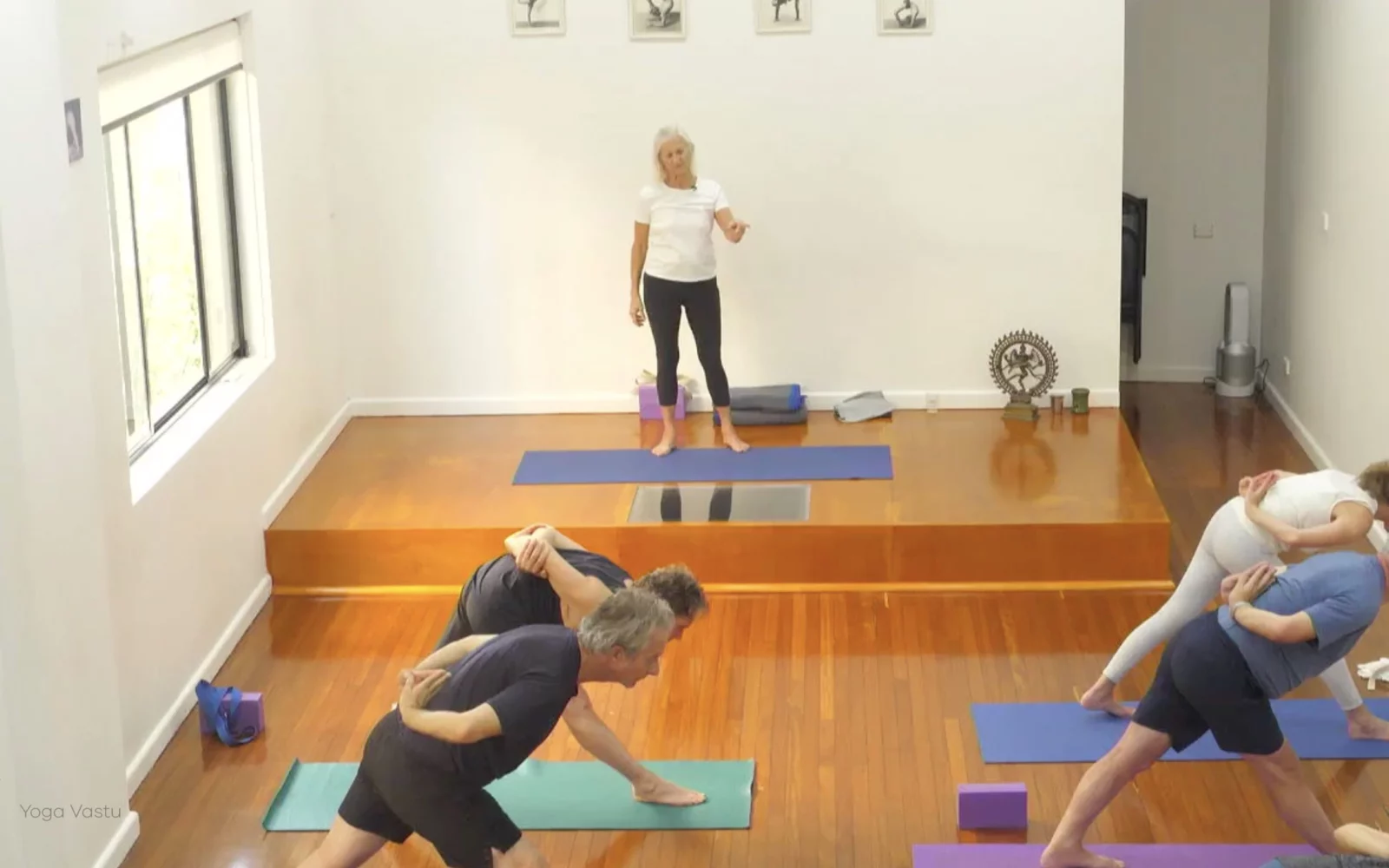 Online Iyengar yoga videos | Class 4: Back to Basics in Standing Poses