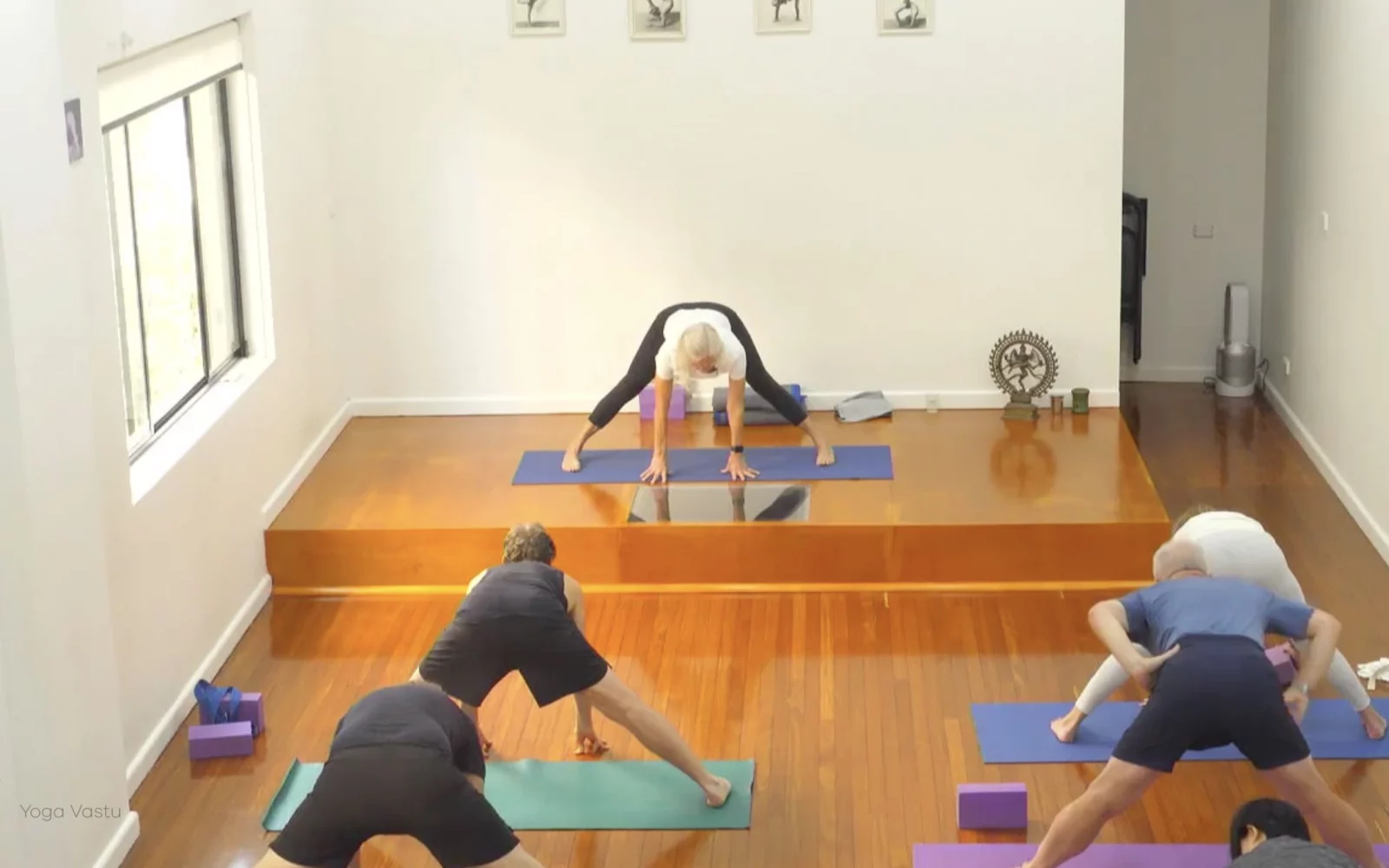 Online Iyengar yoga videos | Class 4: Back to Basics in Standing Poses