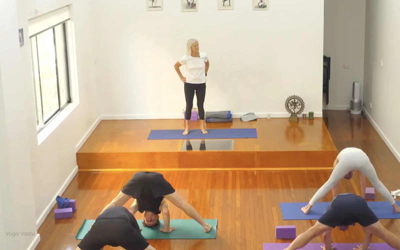 Online Iyengar yoga videos | Class 4: Back to Basics in Standing Poses