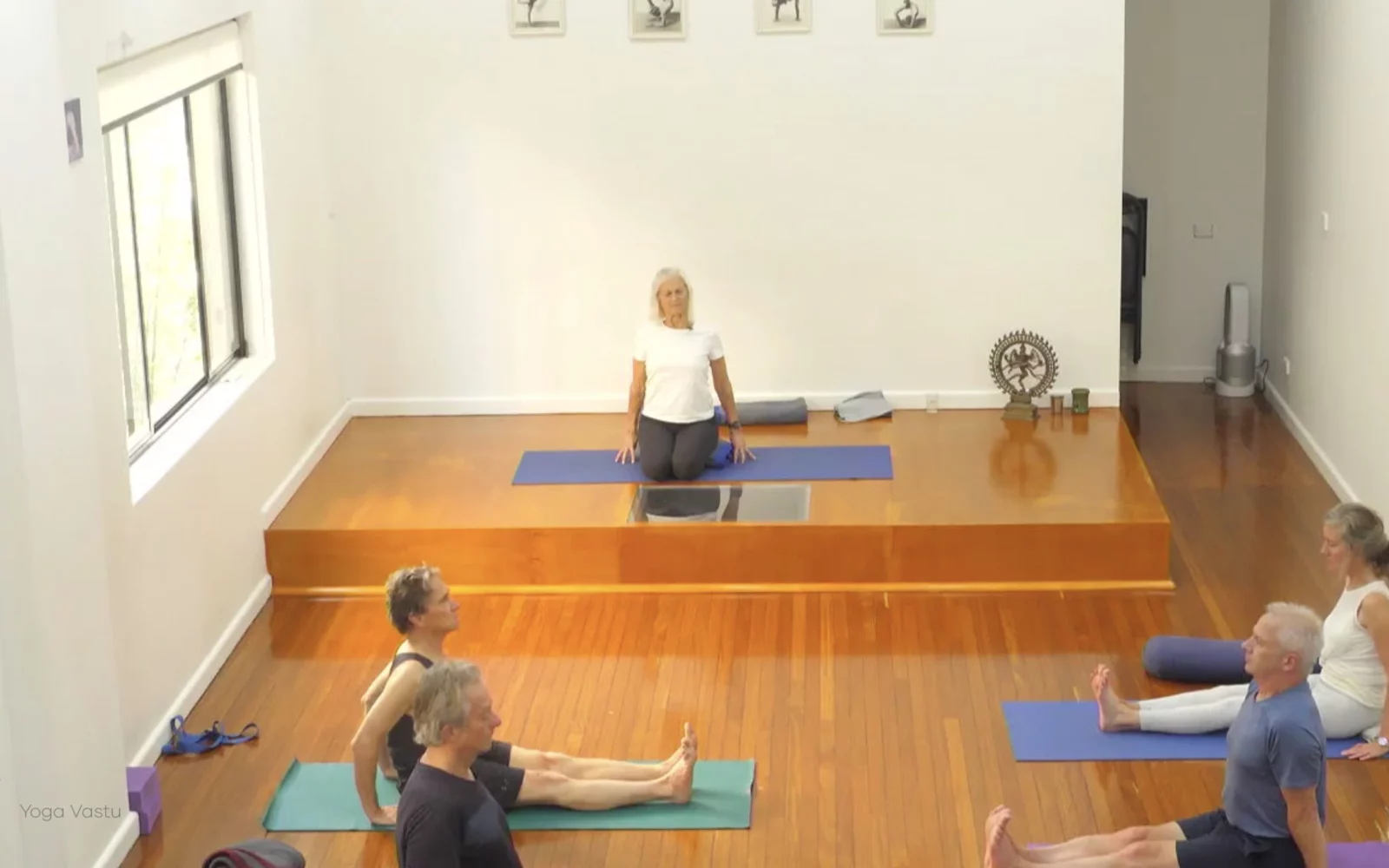 Online Iyengar yoga videos | Class 4: Back to Basics in Standing Poses