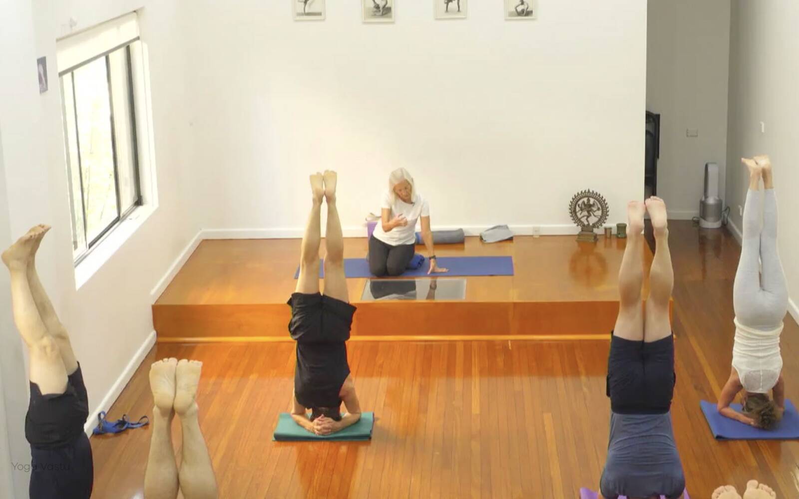 Online Iyengar yoga videos | Class 4: Back to Basics in Standing Poses
