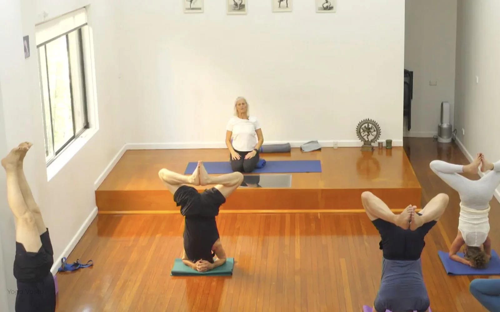 Online Iyengar yoga videos | Class 4: Back to Basics in Standing Poses