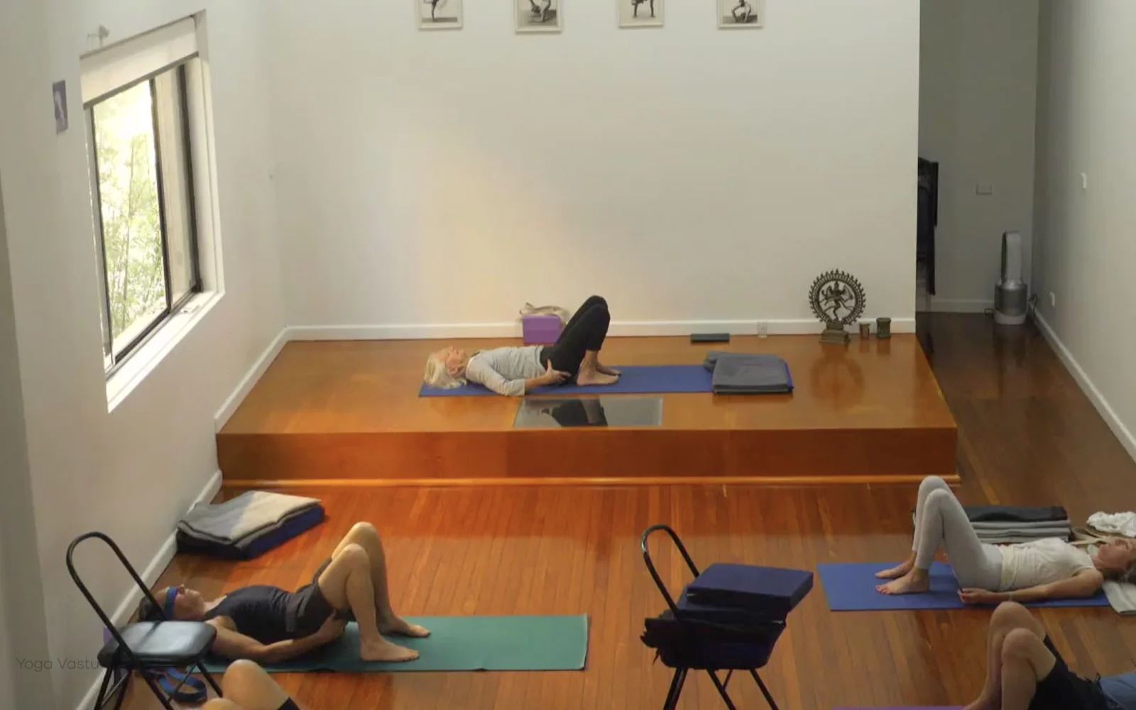 Online Iyengar yoga videos | Class 4: Back to Basics in Standing Poses
