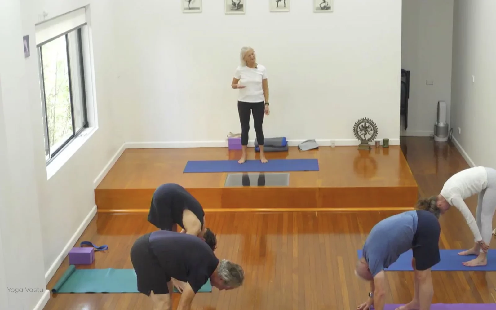 Online Iyengar yoga videos | Class 4: Back to Basics in Standing Poses
