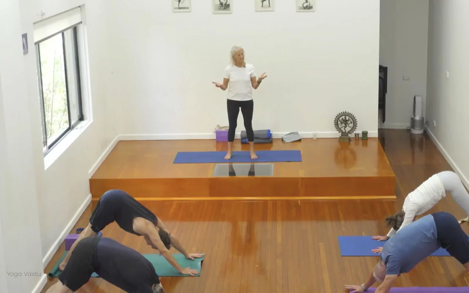Online Iyengar yoga videos | Class 4: Back to Basics in Standing Poses