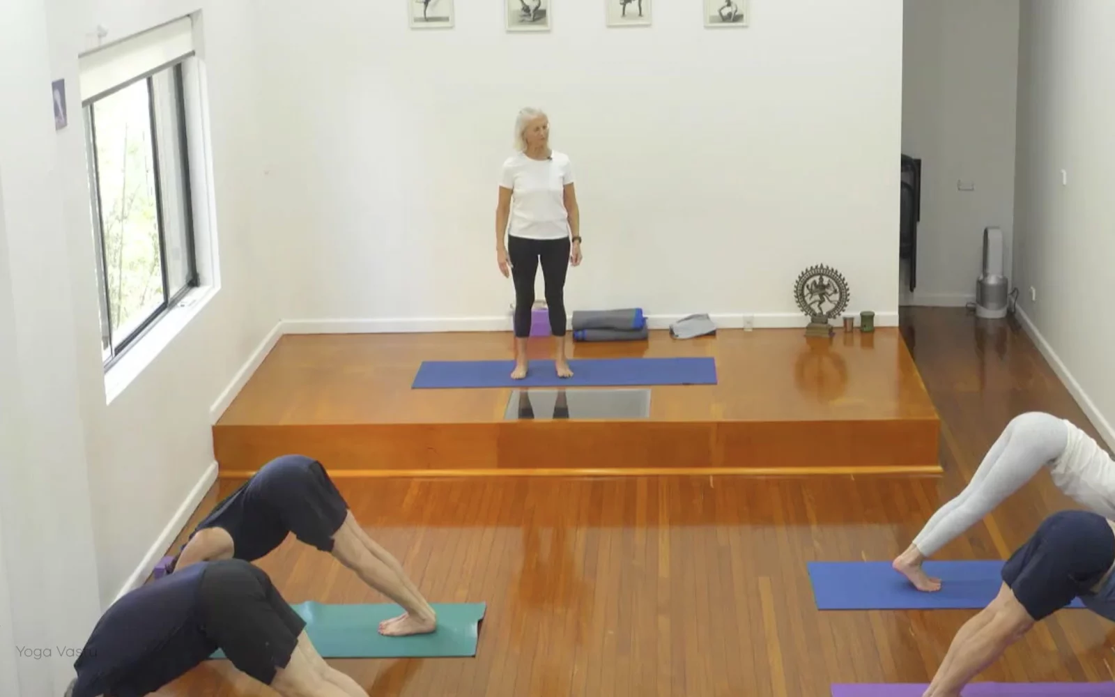 Online Iyengar yoga videos | Class 4: Back to Basics in Standing Poses