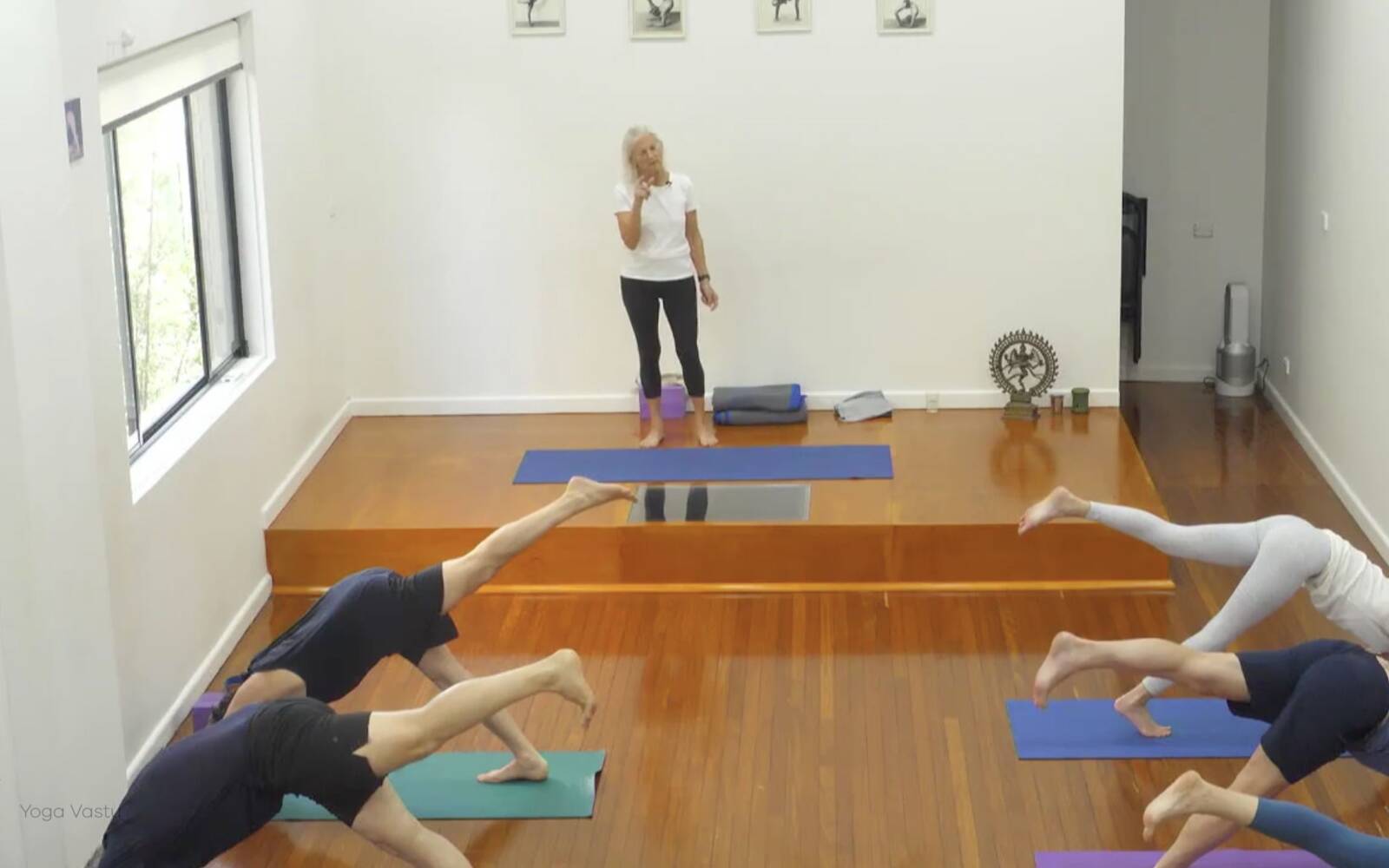 Online Iyengar yoga videos | Class 4: Back to Basics in Standing Poses