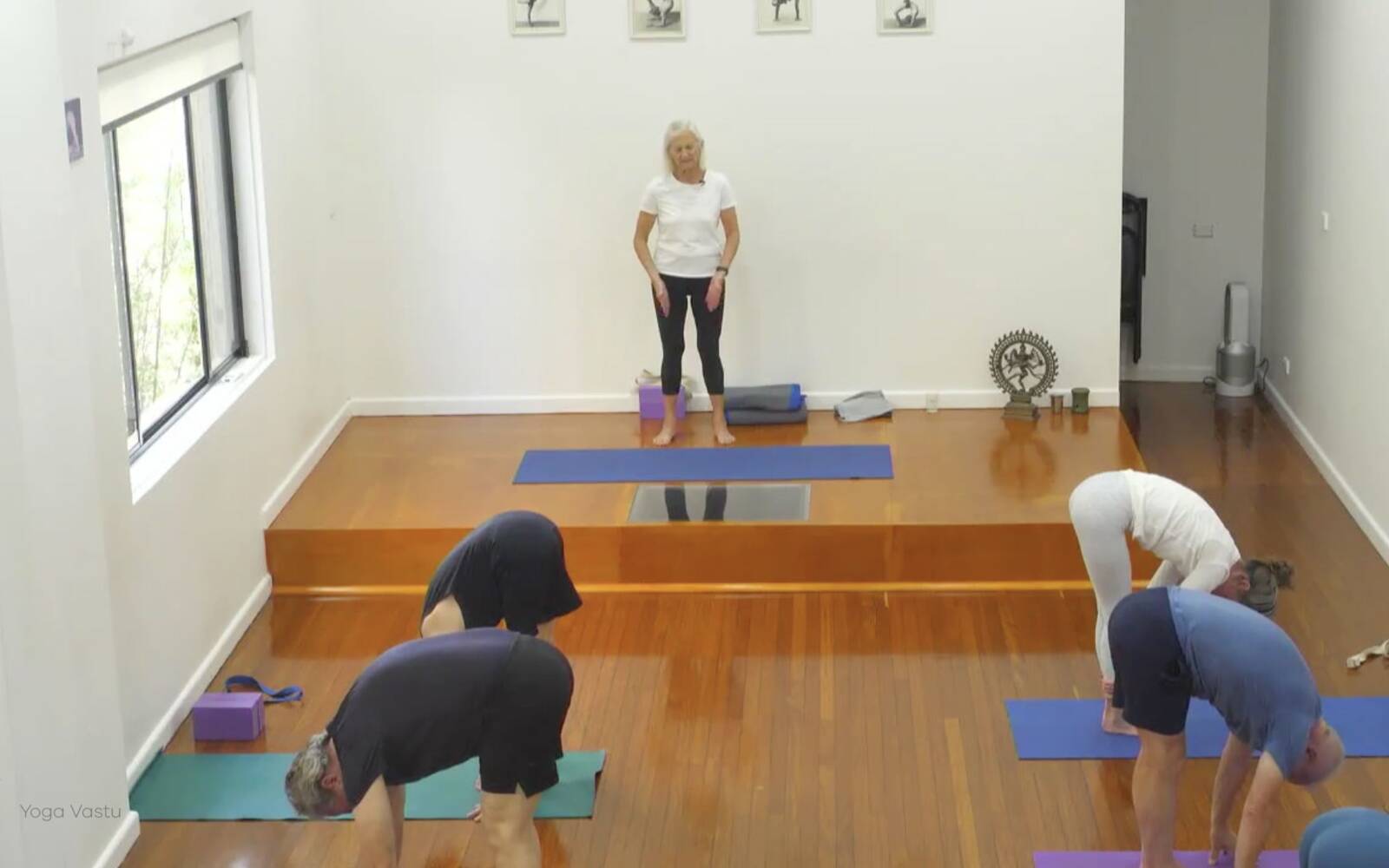 Online Iyengar yoga videos | Class 4: Back to Basics in Standing Poses