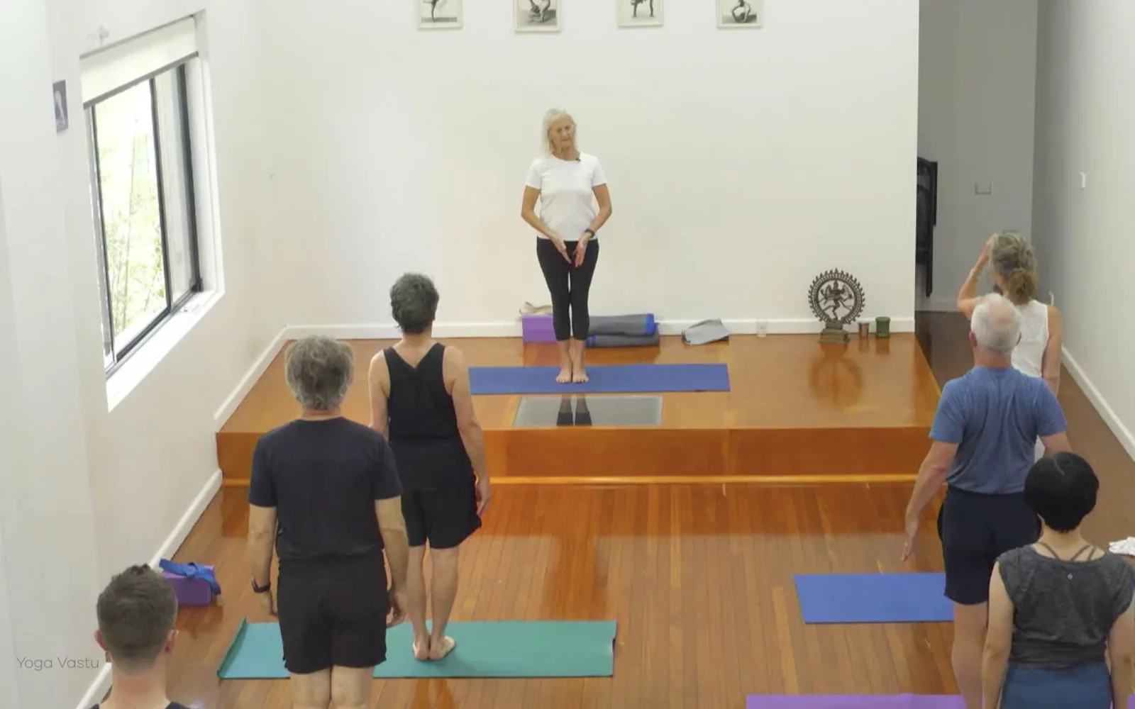 Online Iyengar yoga videos | Class 4: Back to Basics in Standing Poses