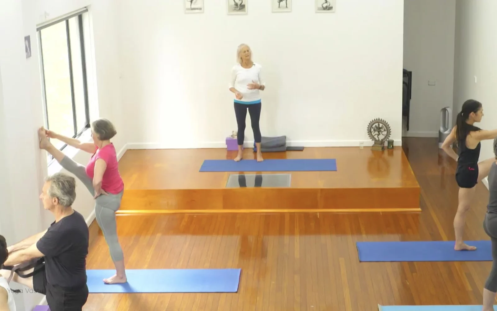 Online Iyengar yoga videos | Class 1: Using the Inner Groin to Deepen our Poses