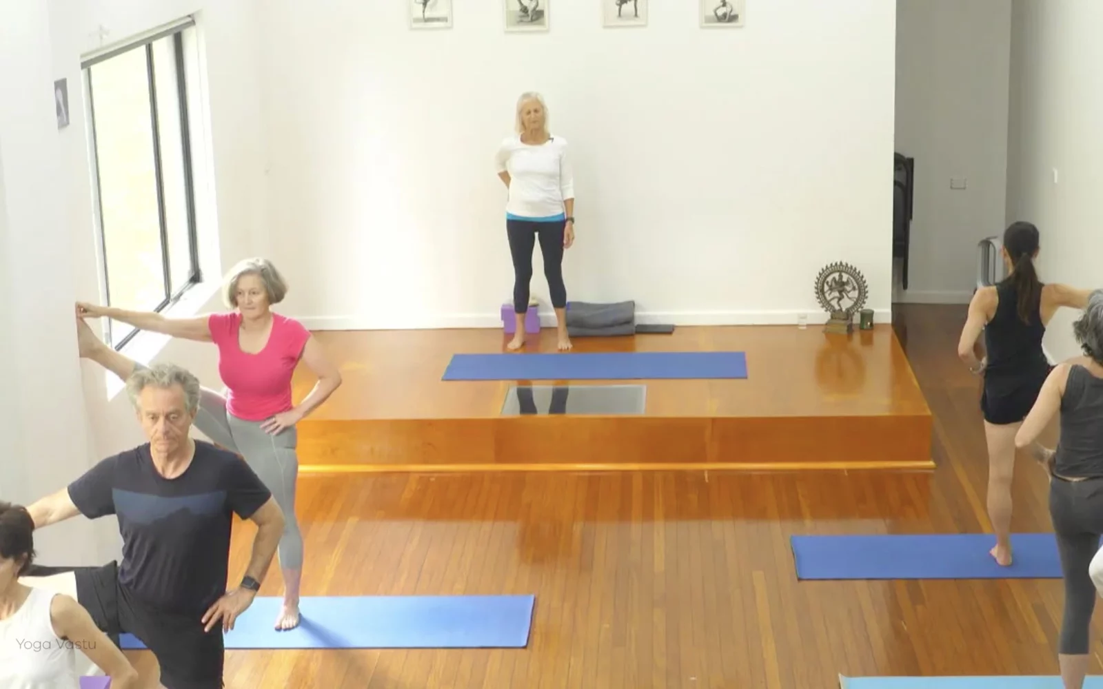 Online Iyengar yoga videos | Class 1: Using the Inner Groin to Deepen our Poses
