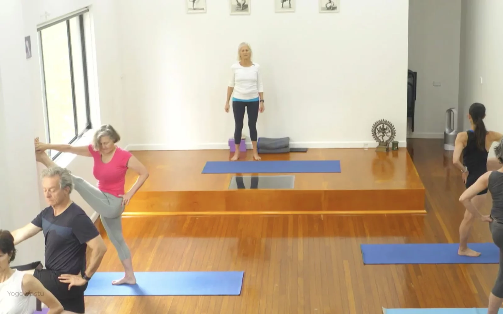 Online Iyengar yoga videos | Class 1: Using the Inner Groin to Deepen our Poses