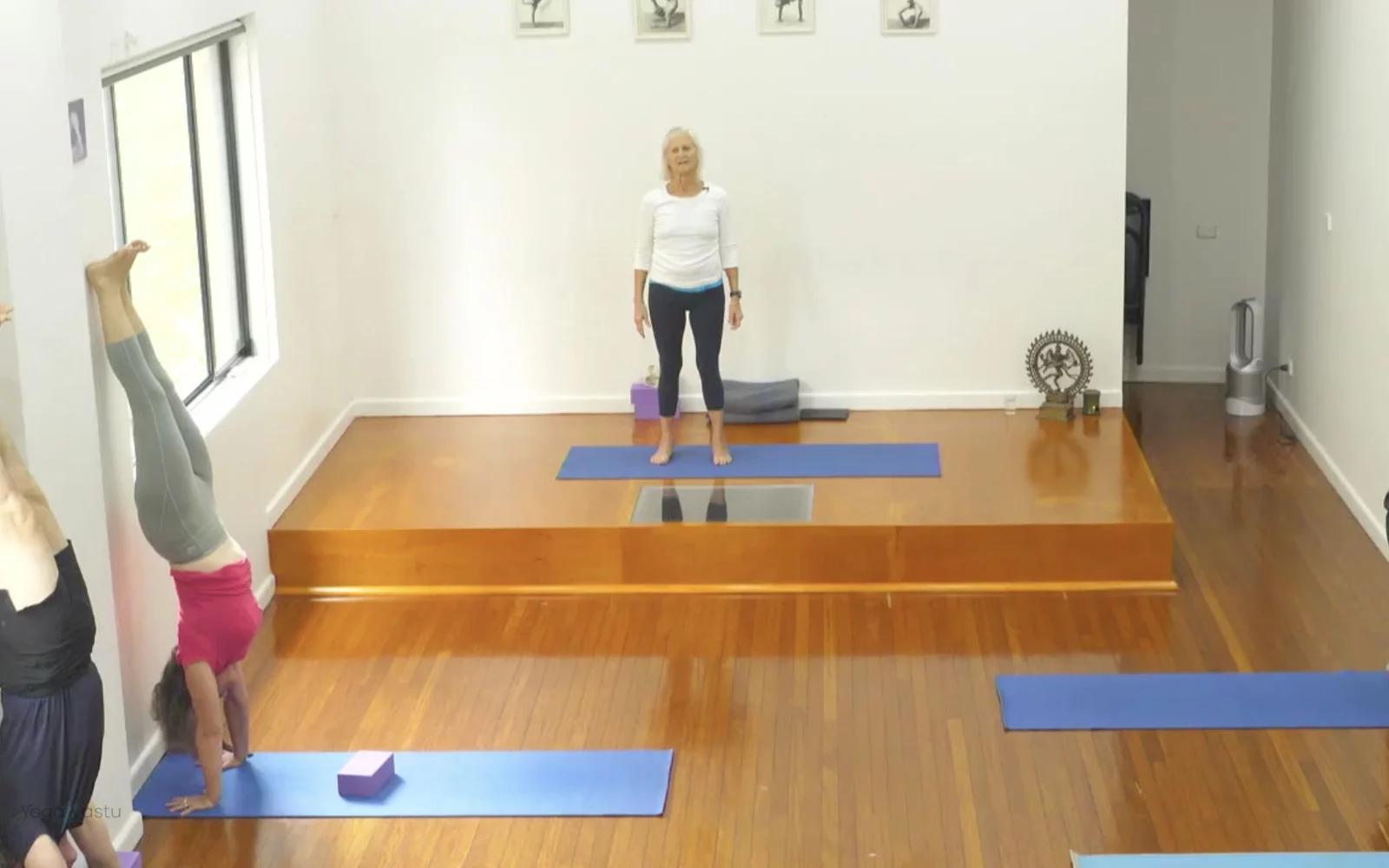 Online Iyengar yoga videos | Class 1: Using the Inner Groin to Deepen our Poses