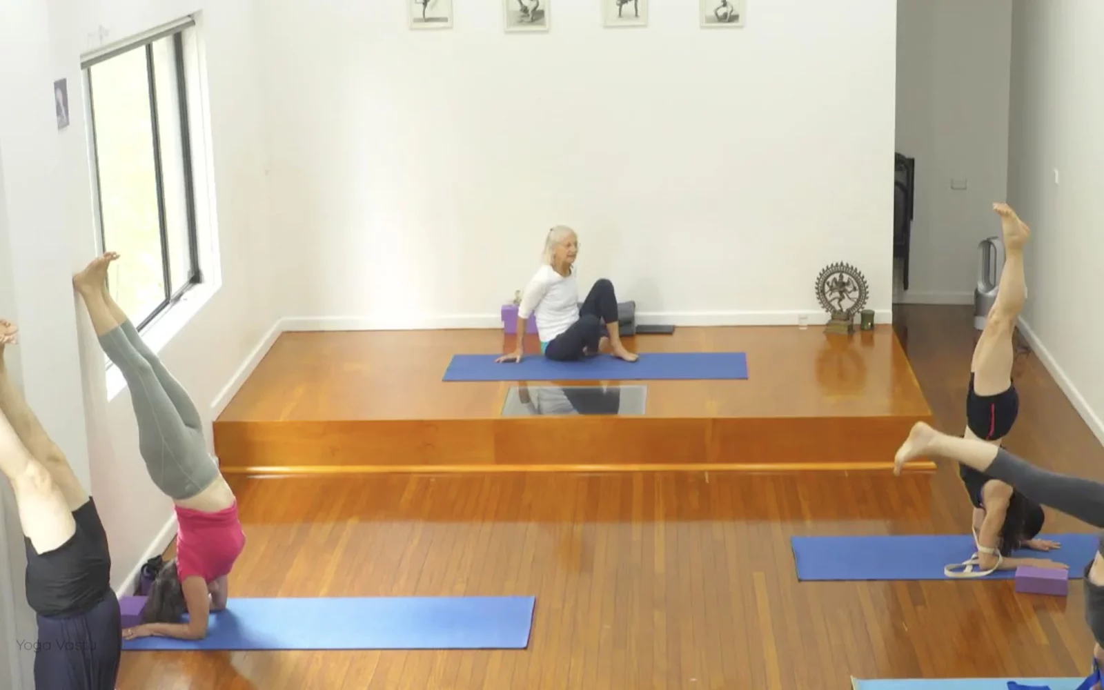 Online Iyengar yoga videos | Class 1: Using the Inner Groin to Deepen our Poses