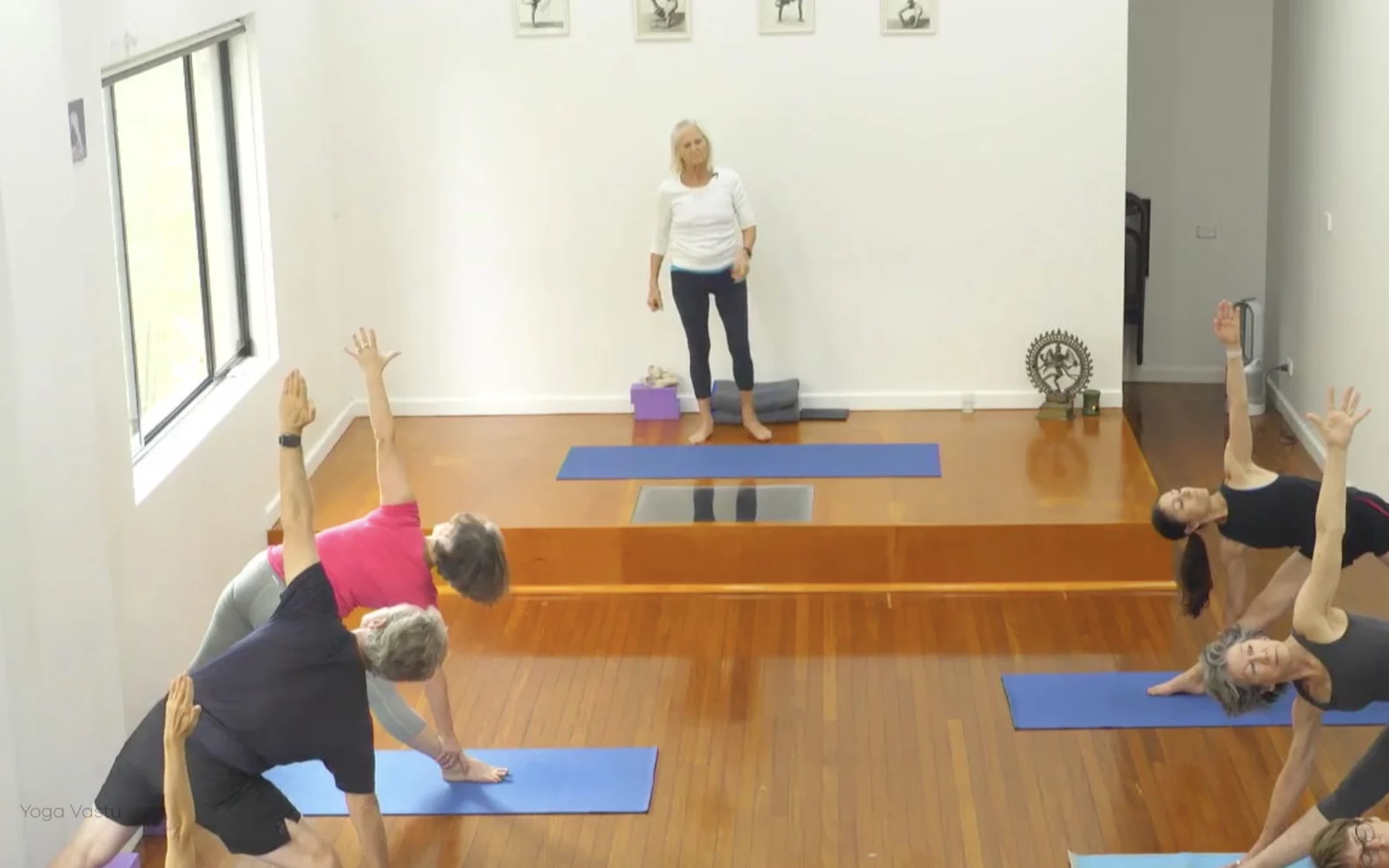 Online Iyengar yoga videos | Class 1: Using the Inner Groin to Deepen our Poses