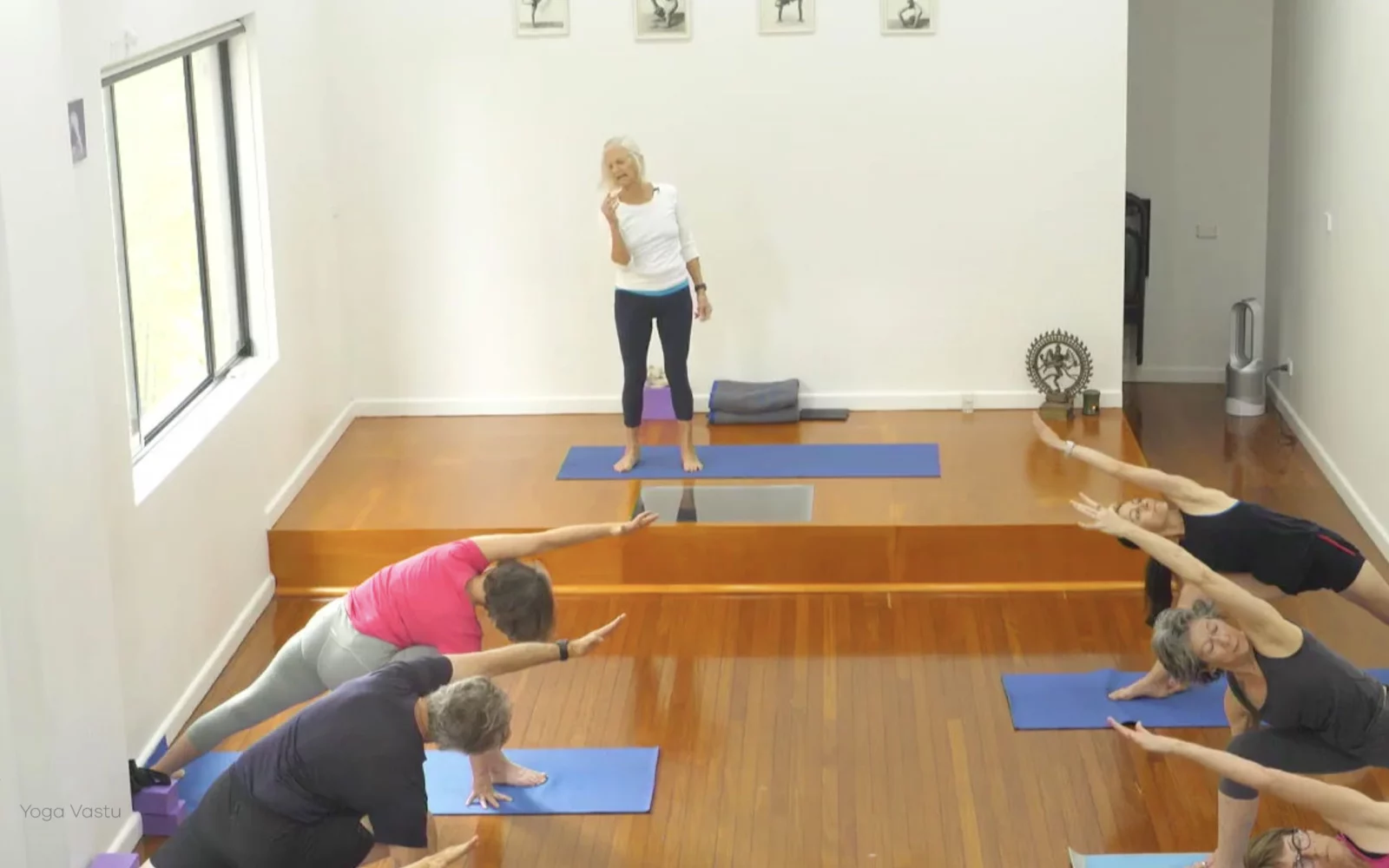 Online Iyengar yoga videos | Class 1: Using the Inner Groin to Deepen our Poses