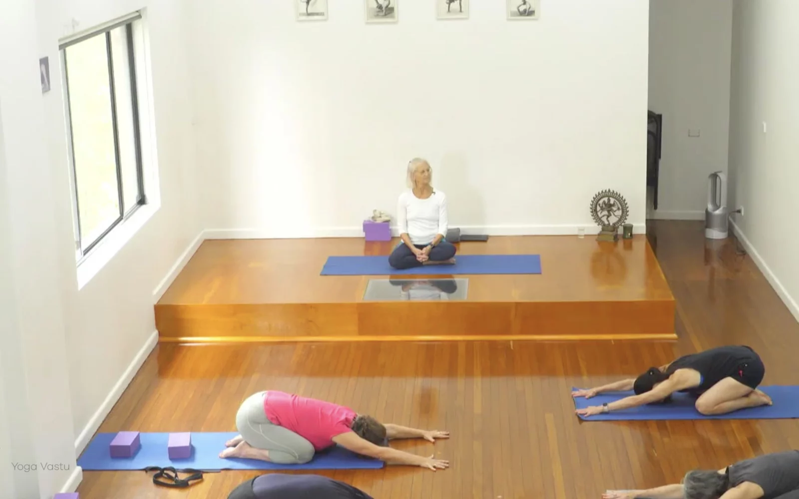 Online Iyengar yoga videos | Class 1: Using the Inner Groin to Deepen our Poses