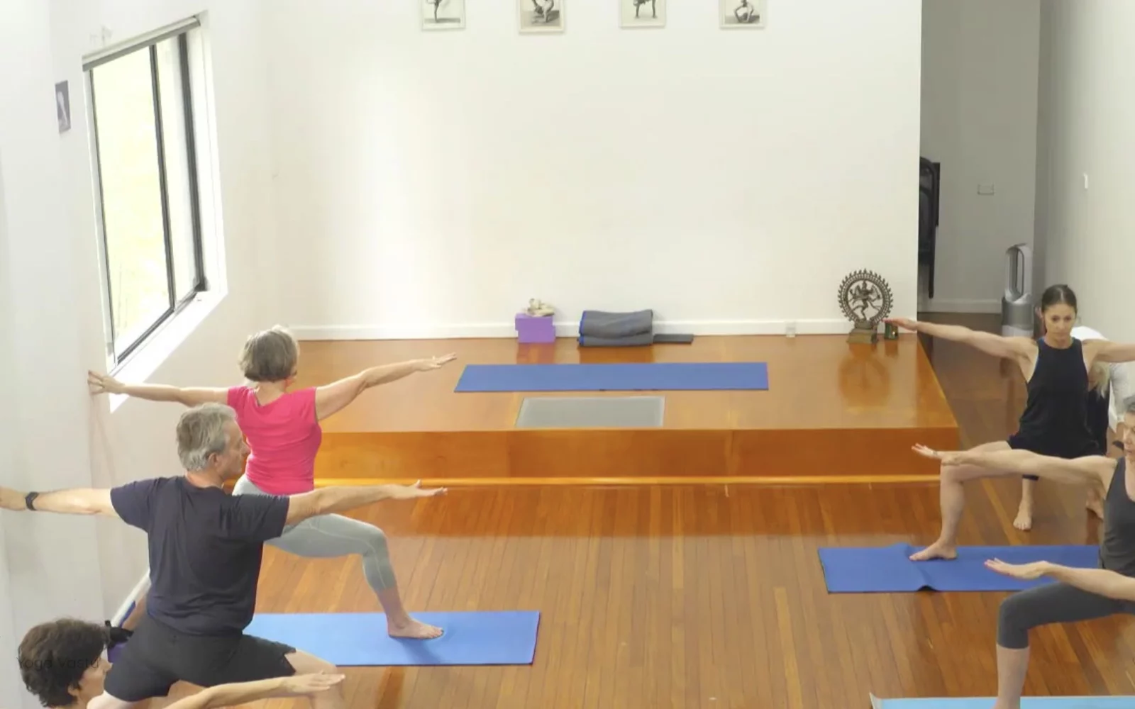 Online Iyengar yoga videos | Class 1: Using the Inner Groin to Deepen our Poses