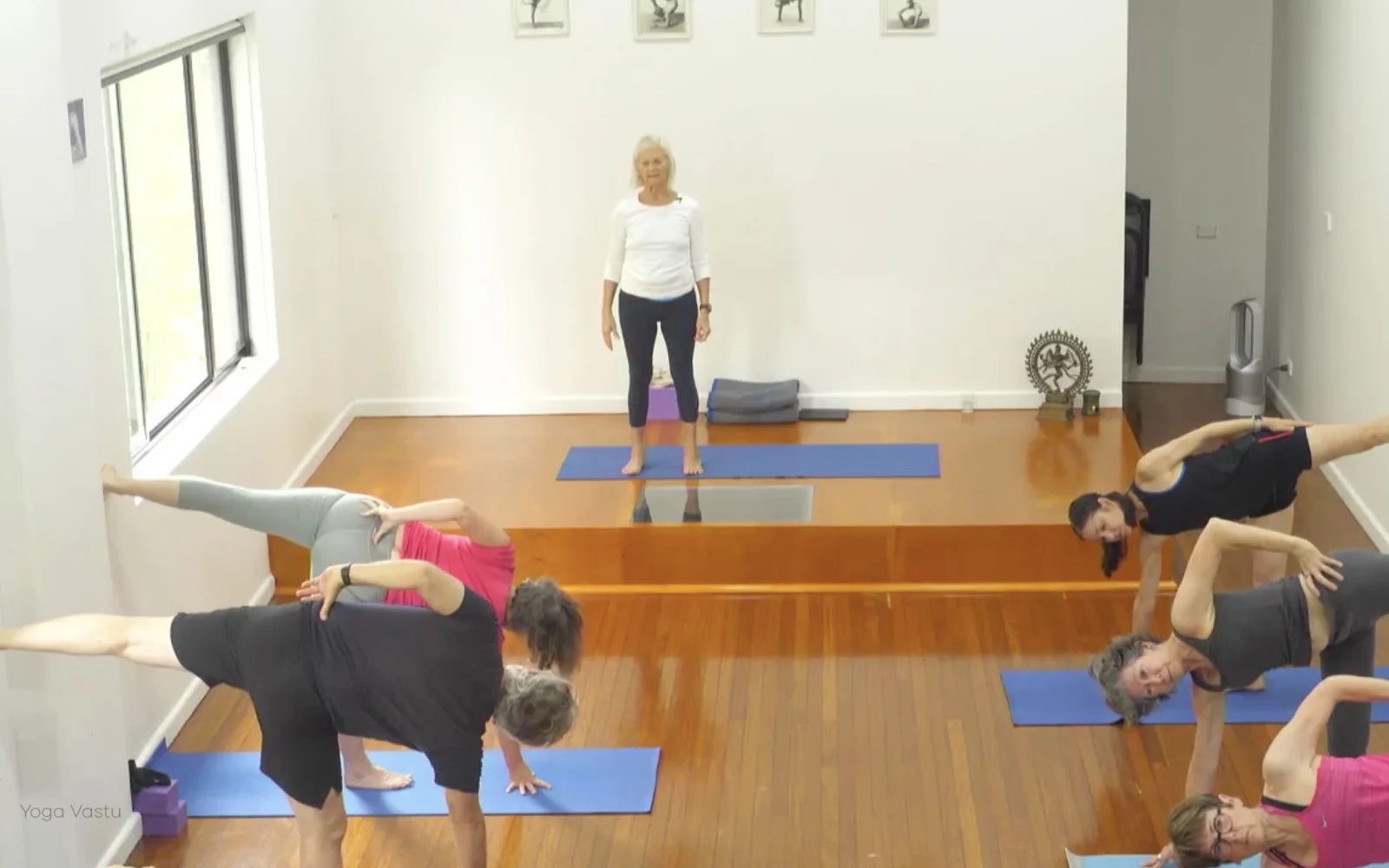 Online Iyengar yoga videos | Class 1: Using the Inner Groin to Deepen our Poses