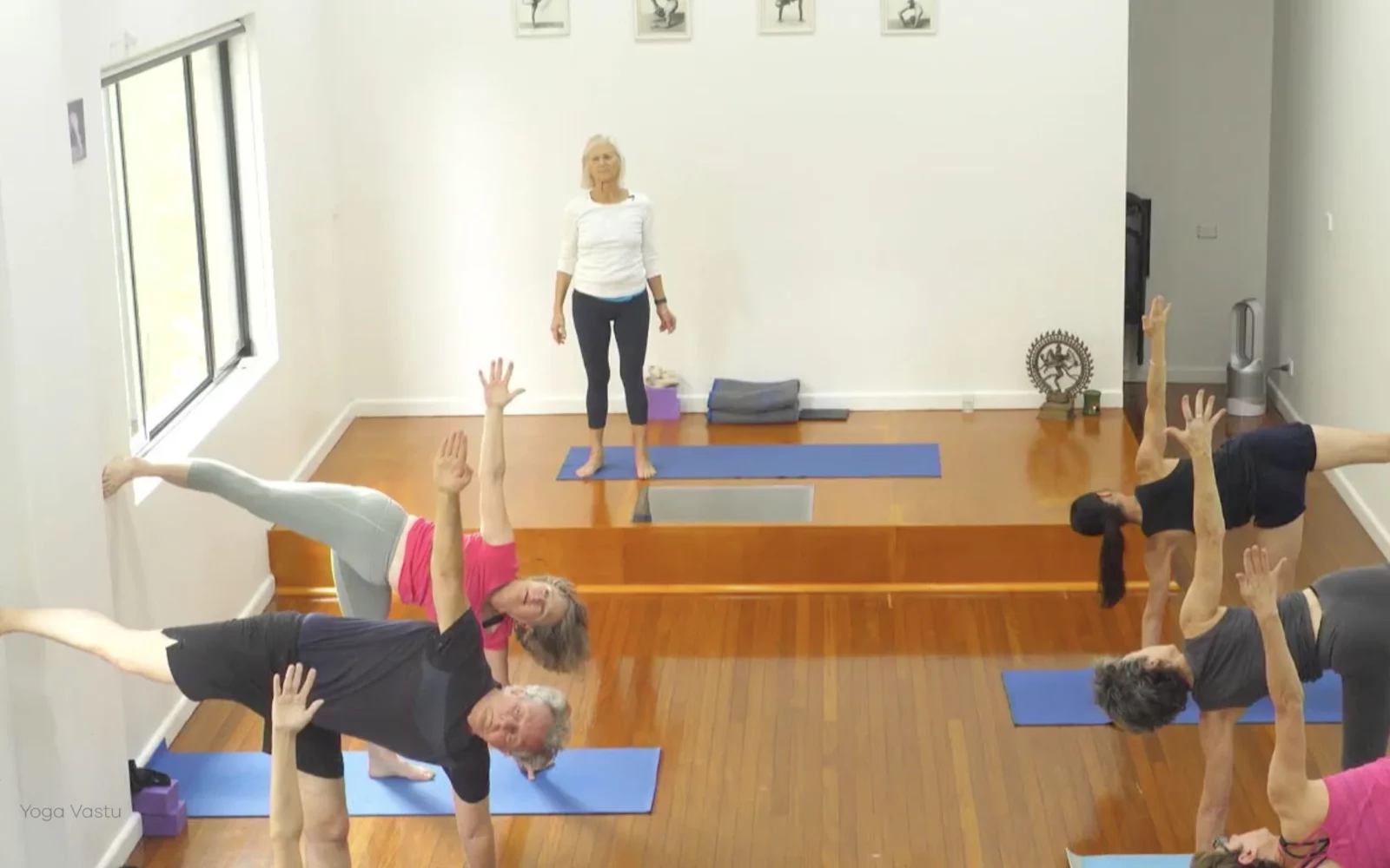 Online Iyengar yoga videos | Class 1: Using the Inner Groin to Deepen our Poses