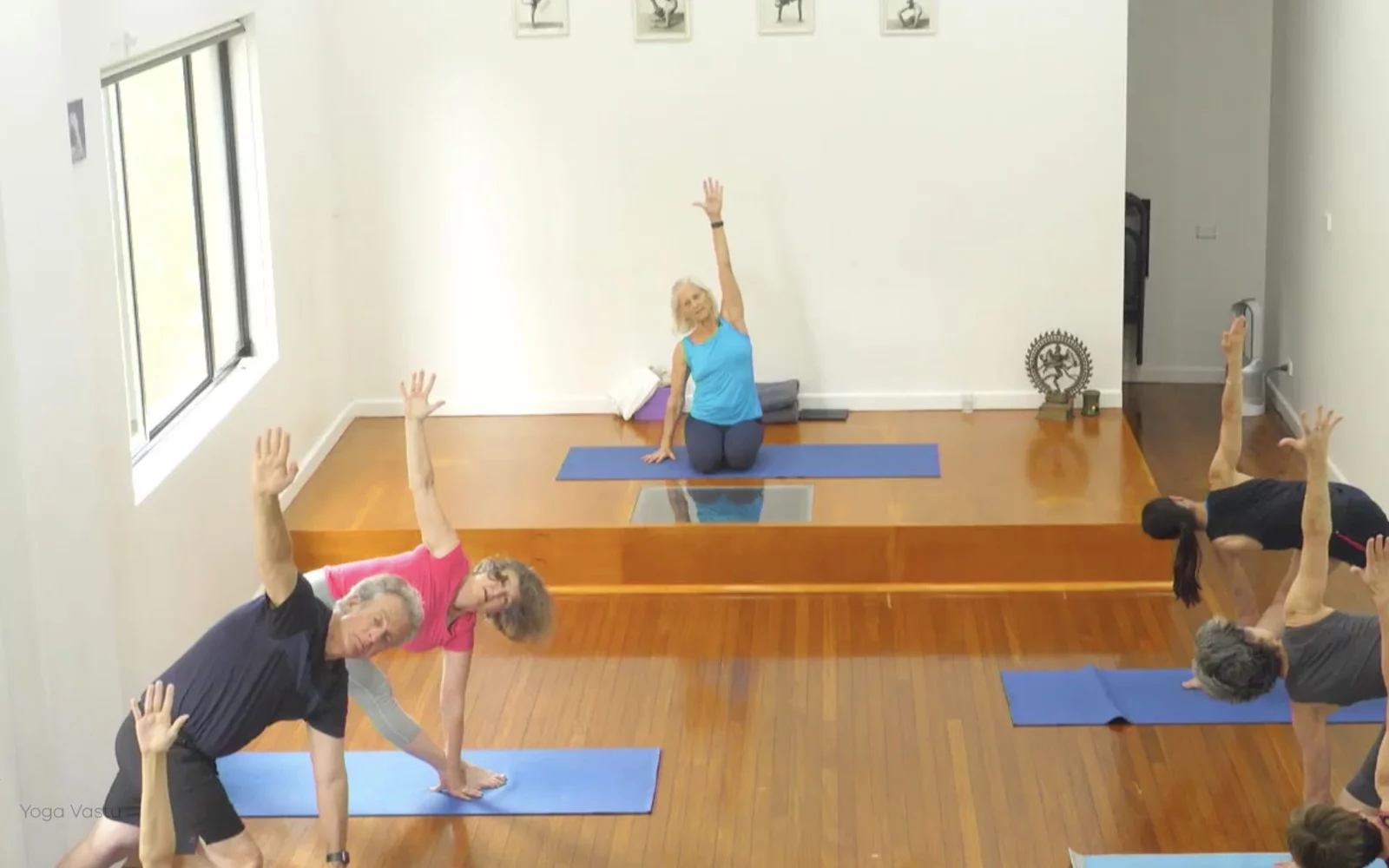 Online Iyengar yoga videos | Class 1: Using the Inner Groin to Deepen our Poses