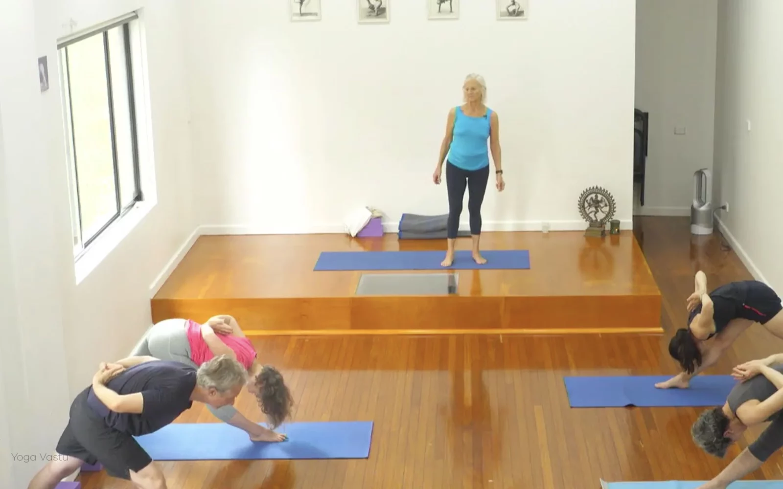 Online Iyengar yoga videos | Class 1: Using the Inner Groin to Deepen our Poses