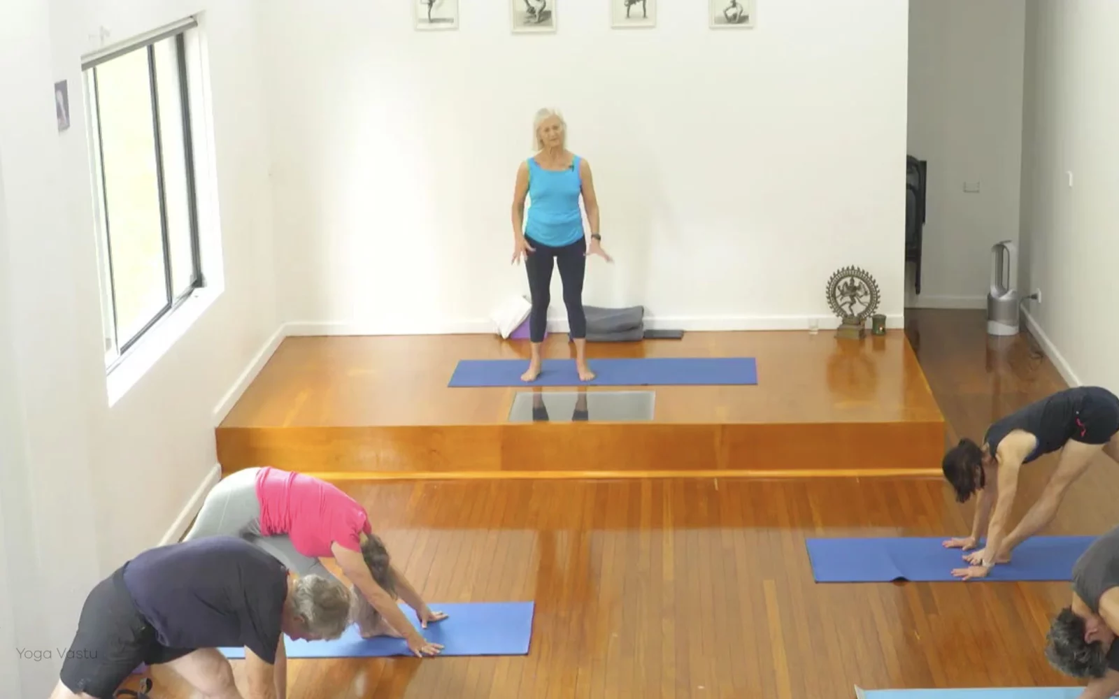 Online Iyengar yoga videos | Class 1: Using the Inner Groin to Deepen our Poses
