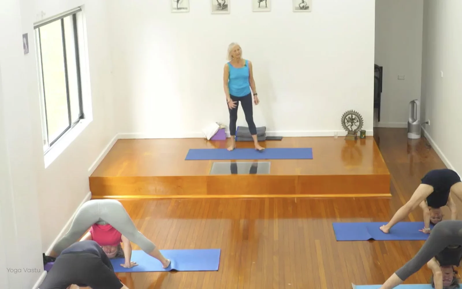 Online Iyengar yoga videos | Class 1: Using the Inner Groin to Deepen our Poses