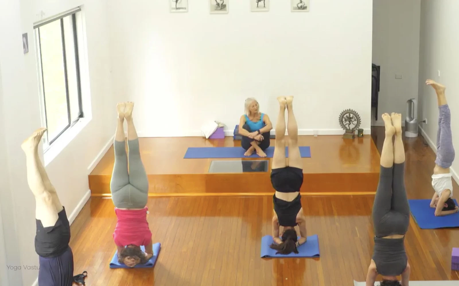 Online Iyengar yoga videos | Class 1: Using the Inner Groin to Deepen our Poses