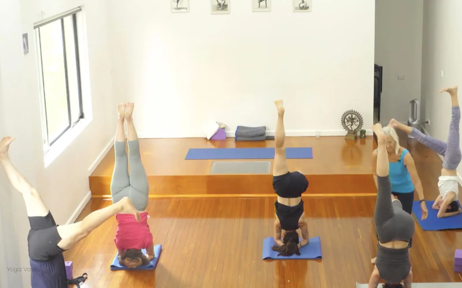 Online Iyengar yoga videos | Class 1: Using the Inner Groin to Deepen our Poses
