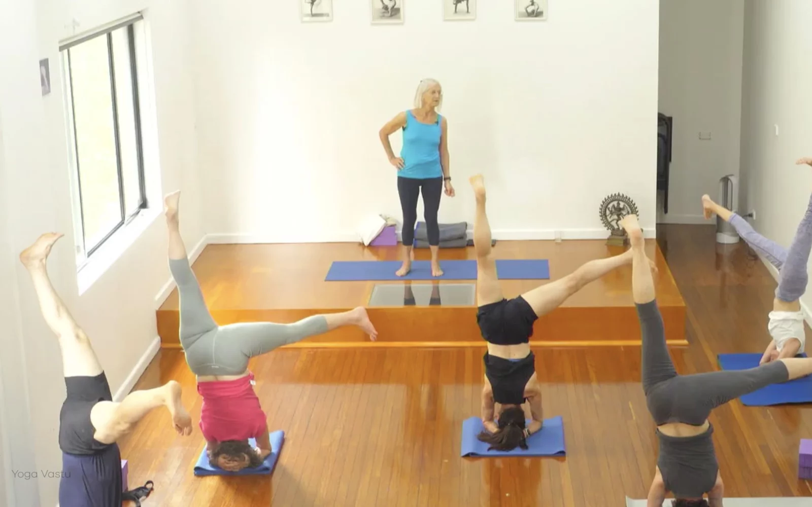 Online Iyengar yoga videos | Class 1: Using the Inner Groin to Deepen our Poses