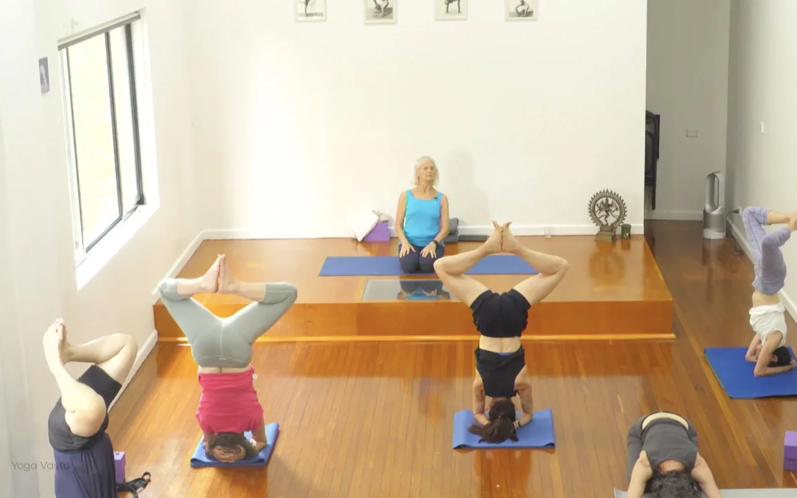 Online Iyengar yoga videos | Class 1: Using the Inner Groin to Deepen our Poses