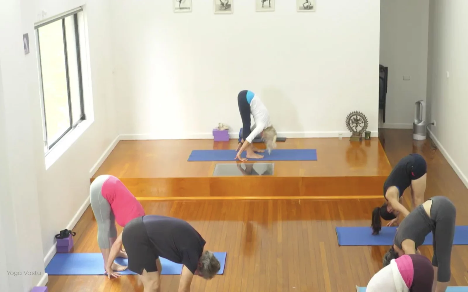 Online Iyengar yoga videos | Class 1: Using the Inner Groin to Deepen our Poses