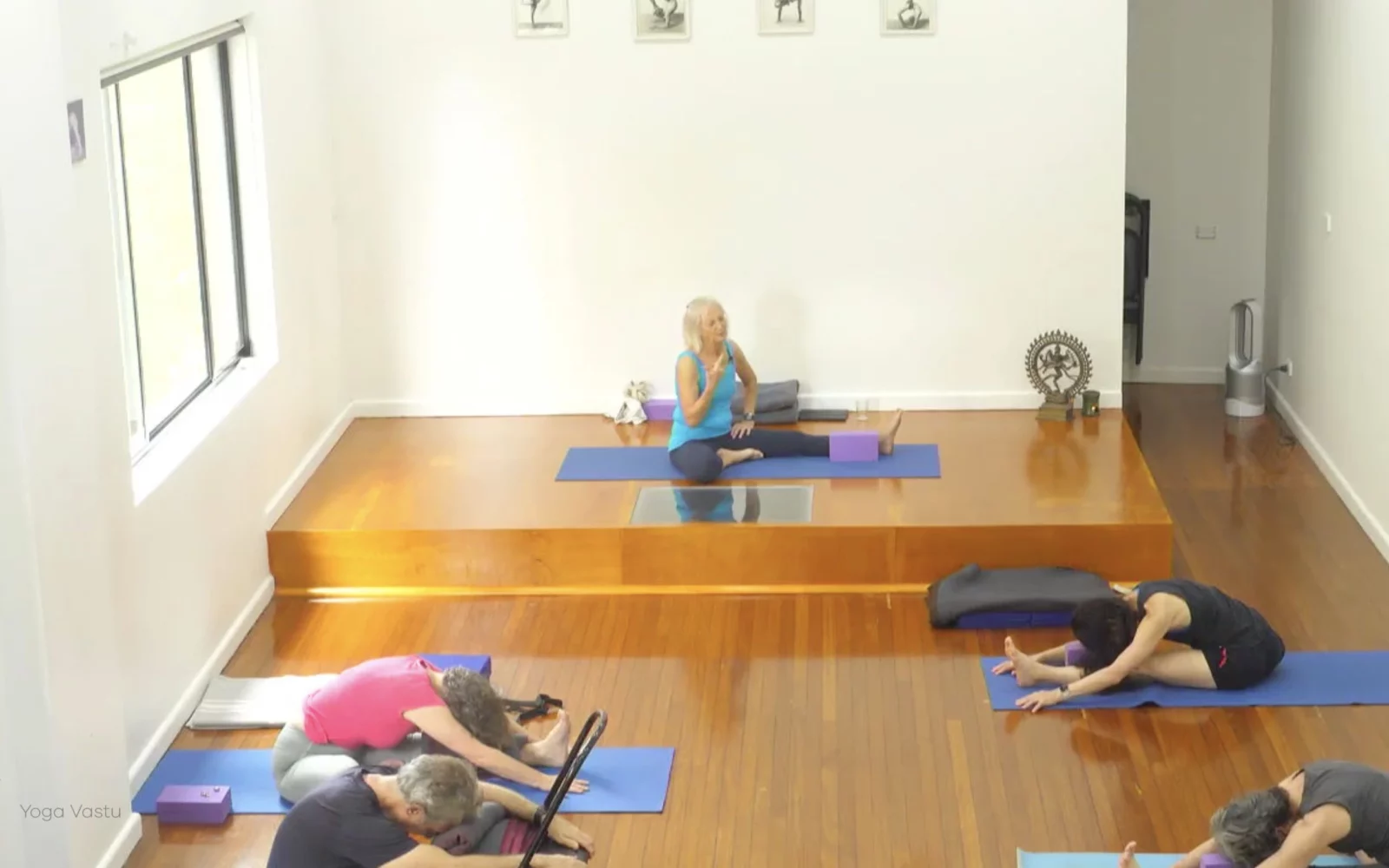 Online Iyengar yoga videos | Class 1: Using the Inner Groin to Deepen our Poses