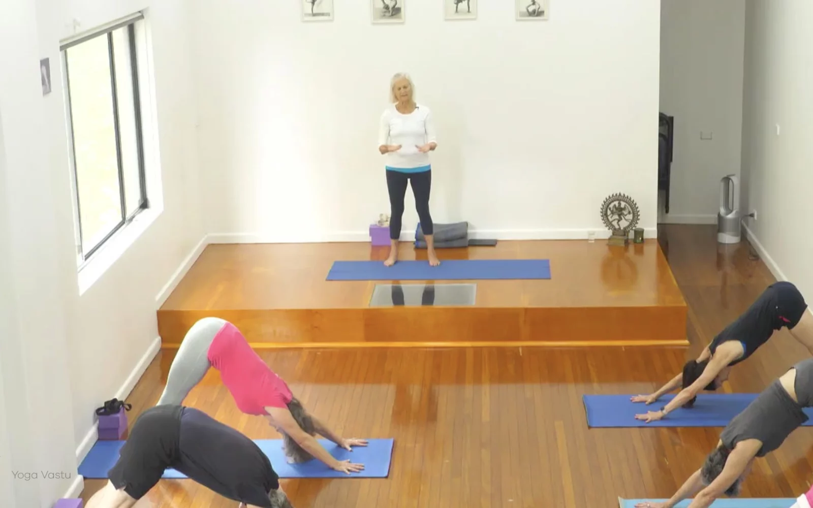 Online Iyengar yoga videos | Class 1: Using the Inner Groin to Deepen our Poses