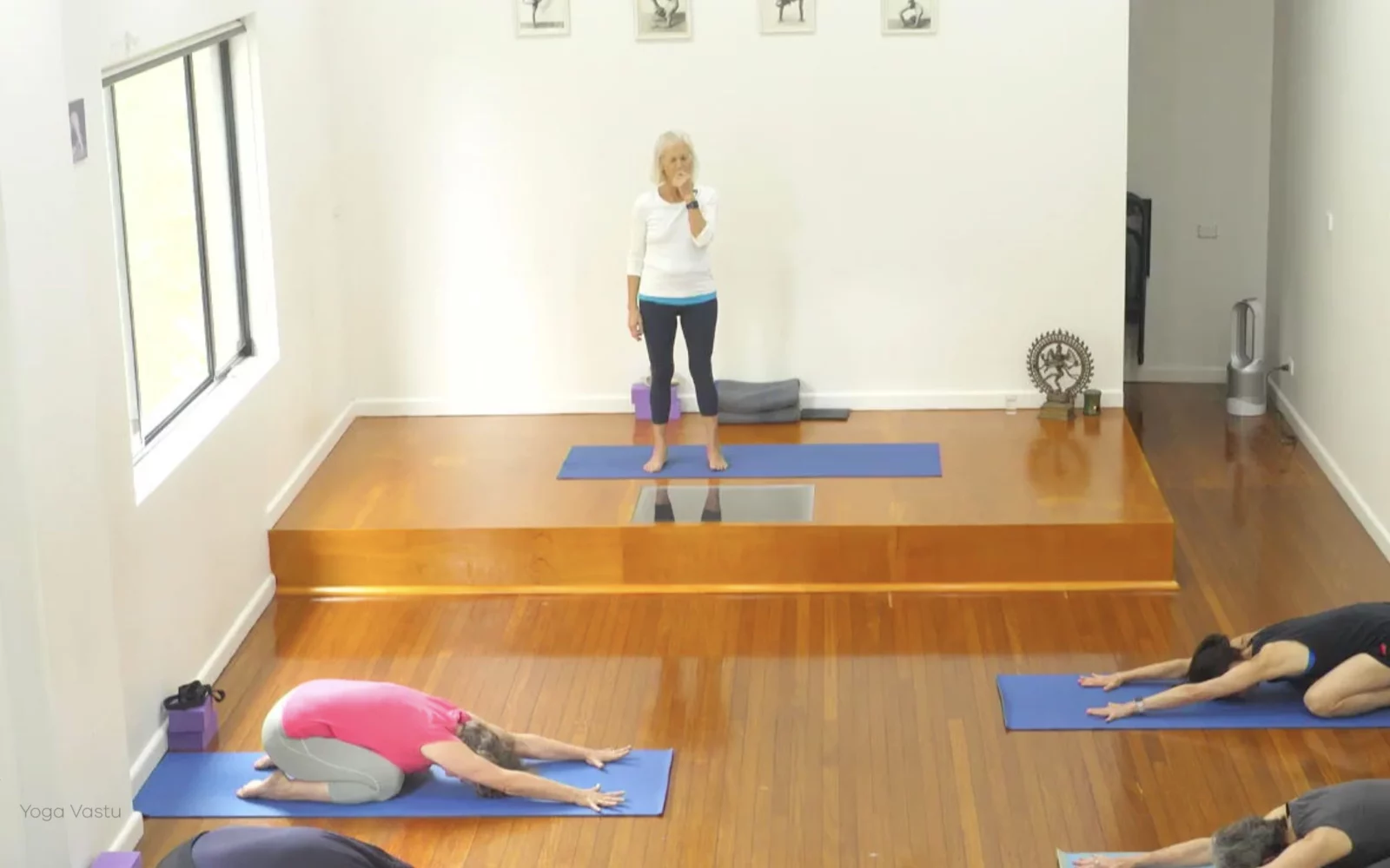 Online Iyengar yoga videos | Class 1: Using the Inner Groin to Deepen our Poses