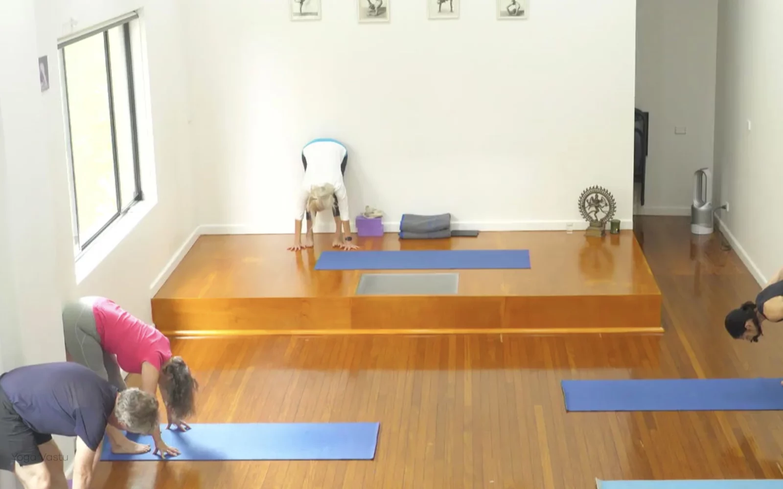 Online Iyengar yoga videos | Class 1: Using the Inner Groin to Deepen our Poses