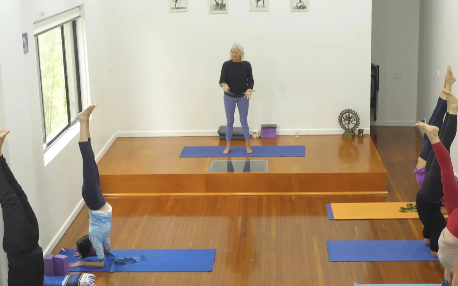 Online Iyengar yoga videos | Advanced Class 2: Finding your Center in Backbends and Inversions