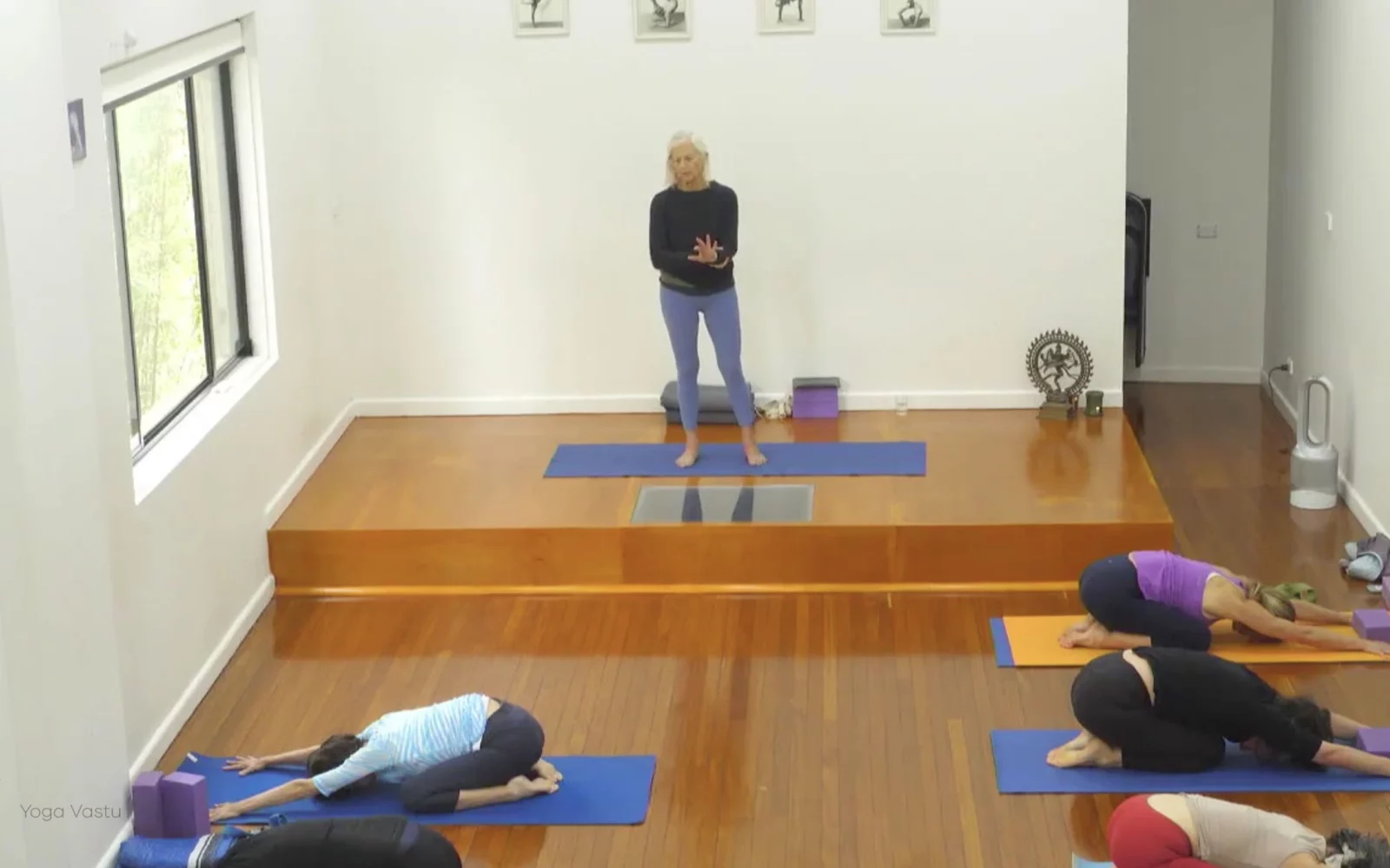 Online Iyengar yoga videos | Advanced Class 2: Finding your Center in Backbends and Inversions