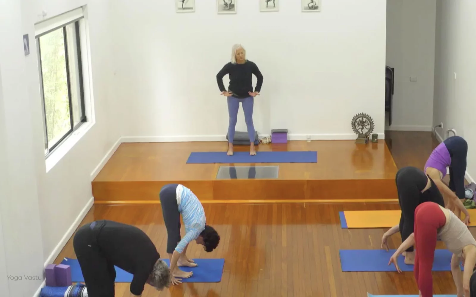 Online Iyengar yoga videos | Advanced Class 2: Finding your Center in Backbends and Inversions