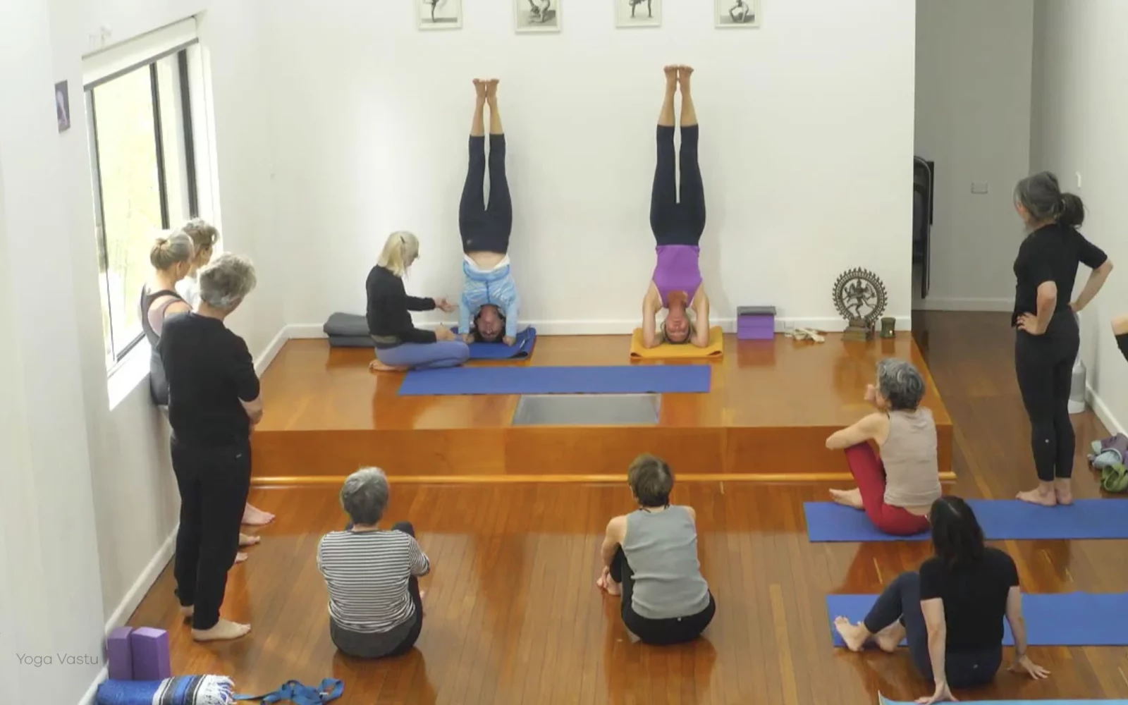 Online Iyengar yoga videos | Advanced Class 2: Finding your Center in Backbends and Inversions