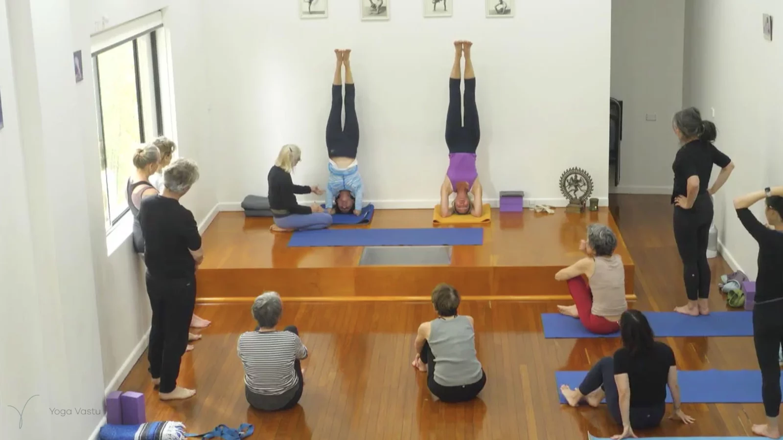 Advanced Class 2: Finding your Center in Backbends and Inversions