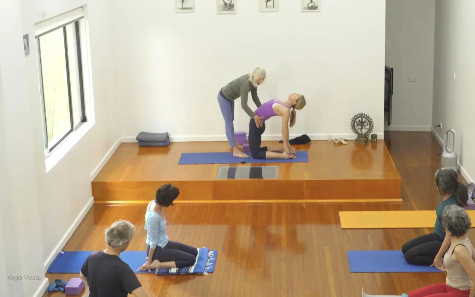 Online Iyengar yoga videos | Advanced Class 2: Finding your Center in Backbends and Inversions