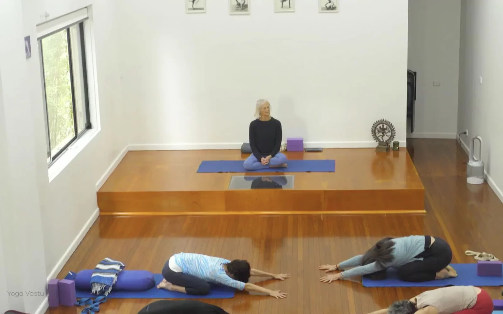 Online Iyengar yoga videos | Advanced Class 2: Finding your Center in Backbends and Inversions